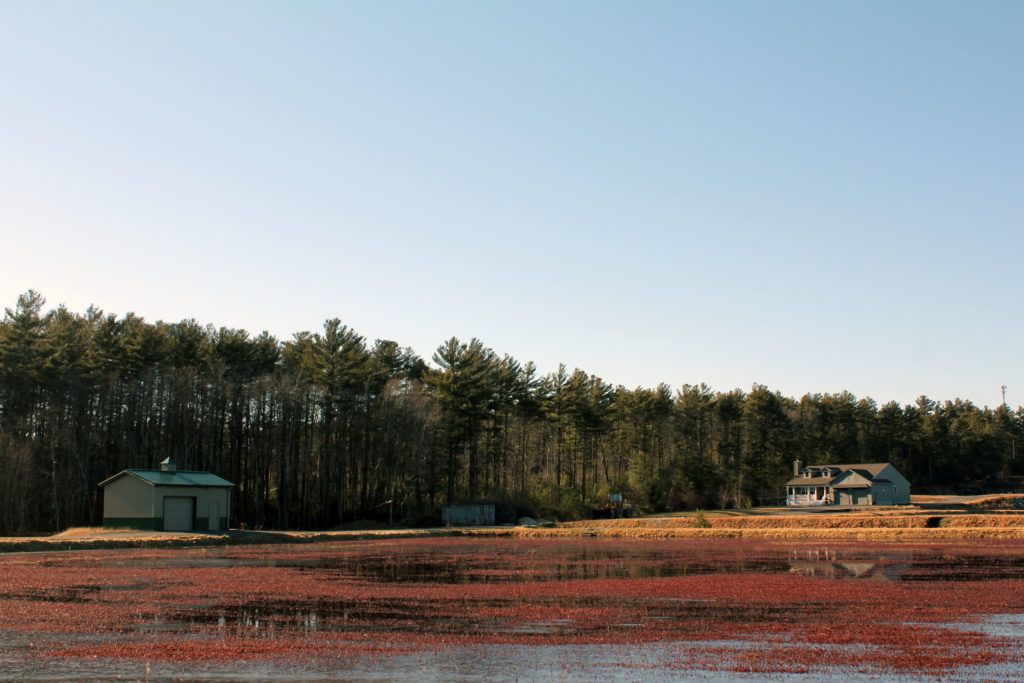 Freetown, MAPelletier Realty